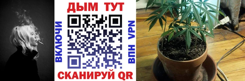 Продажа наркотиков Саратов ГАШ Каннабис Кокаин МЕФ