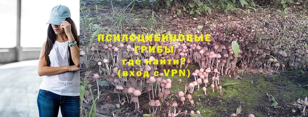бошки Абдулино