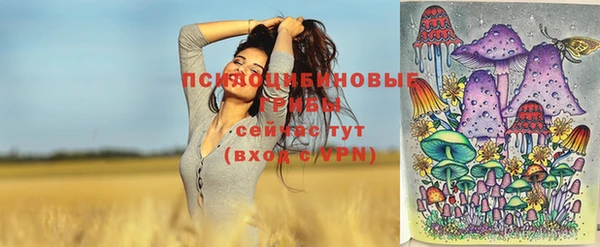 метадон Магас