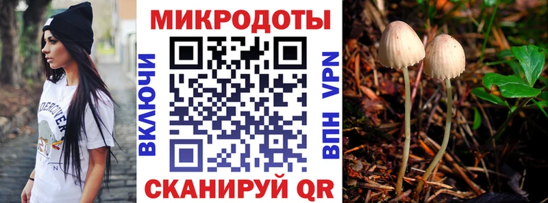 цены   Саратов  kraken как зайти  Галлюциногенные грибы мицелий 
