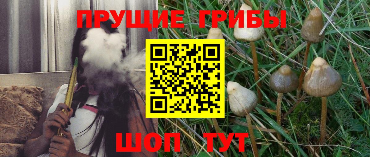 Псилоцибиновые грибы Cubensis  Псилоцибиновые грибы MAGIC MUSHROOMS  Саратов  купить наркотики сайты  Вход с VPN 