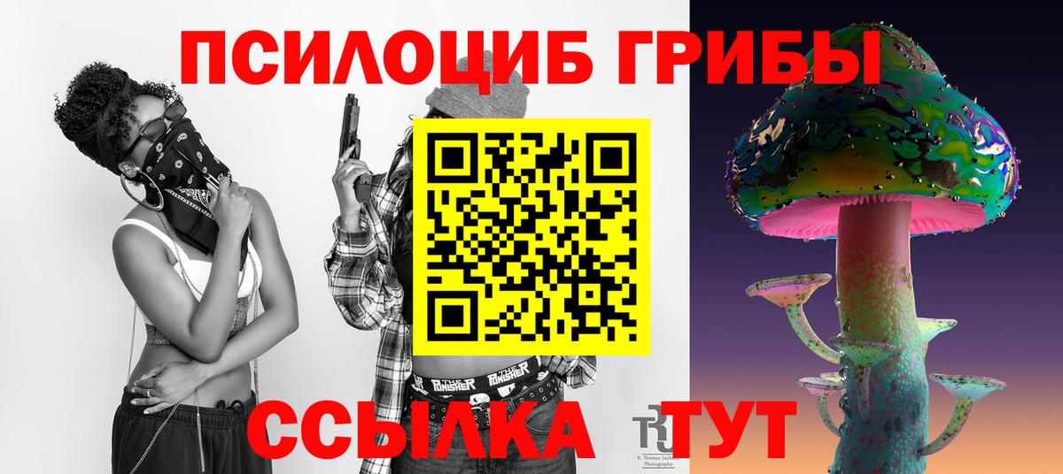 Псилоцибиновые грибы Psilocybine cubensis Саратов