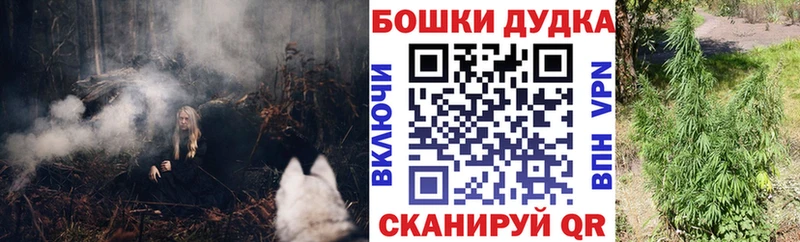 Бошки Шишки индика  Саратов 